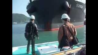 Famous Draft survey - Fore draft marks Wealth