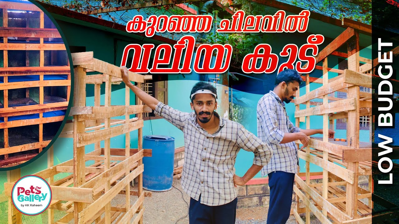 How to make pigeon cage Malayalam low budget pigeon cage birds cage