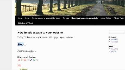 How To Add A Page To Your Wordpress Website - http://buildawebsitetonight.com