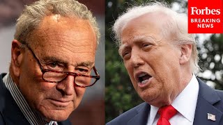 'They Want A Shutdown': Chuck Schumer Points Finger At Trump, GOP Leadership Amid Looming Shutdown