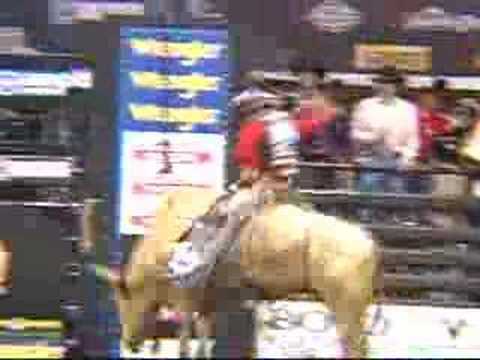 Aloha PBR Honolululu Hawai'i Bull Riding