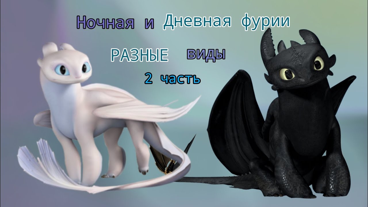 Ночная и Дневная фурии РАЗНЫЕ виды 2 часть Youtube 