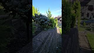 Why I Dont Rely On Flowers For My Yard Built For All Year Beauty