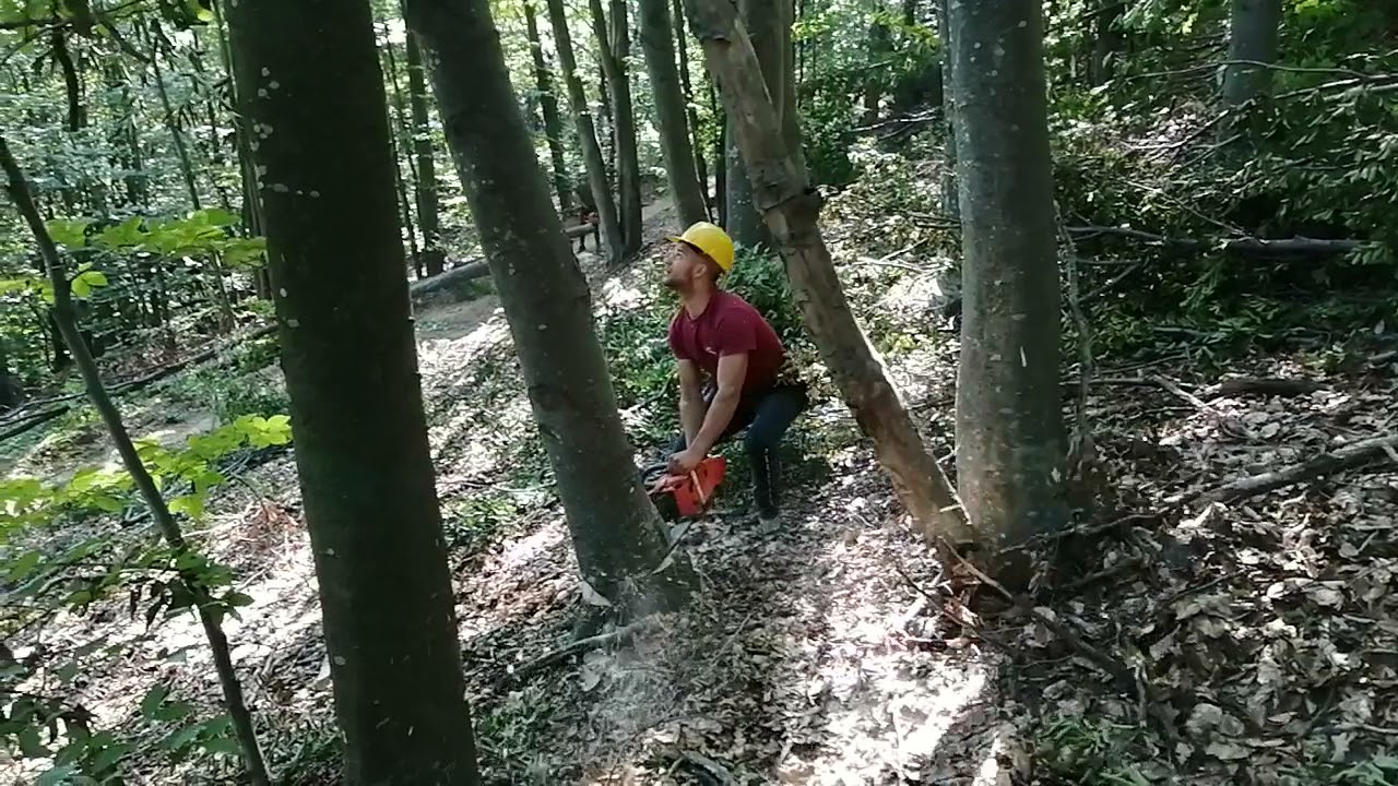 obaranje 365turska kopija husvarne