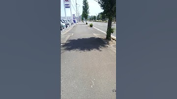 高松市国分寺町のビッグモーター横の木。やはり枯れているな。『失われた街路樹』と言うものか。しかし何故、枯れるのか？除草剤だけで木を枯らすのは流石に困難な筈だが・・？