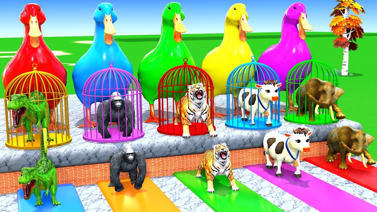 Long Slide Game With Cow Elephant Gorilla Hippopotamus Tiger 3d Animal Game Funny 3d Animals