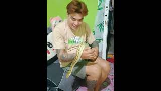 unboxing my second Burmese python fire morp 🙏❤️😊😲