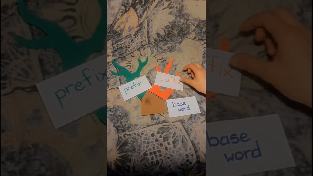 A Little Literacy Lesson About Affixes