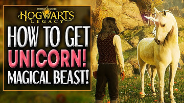 Hogwarts Legacy HOW TO GET THE "UNICORN" MAGICAL BEAST