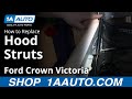 How to Replace Hood Lift Support 1998-2011 Ford Crown Victoria