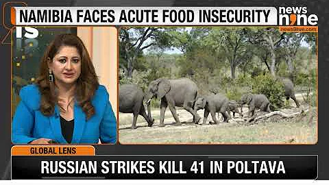 Namibia to Cull 700 Wild Animals to Address Food Insecurity Amid Worst Drought in a Century