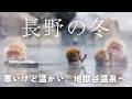 鉄道で巡る冬の長野❄️1泊2日の癒し温泉旅行|地獄谷温泉|湯田中|小布施|善光寺