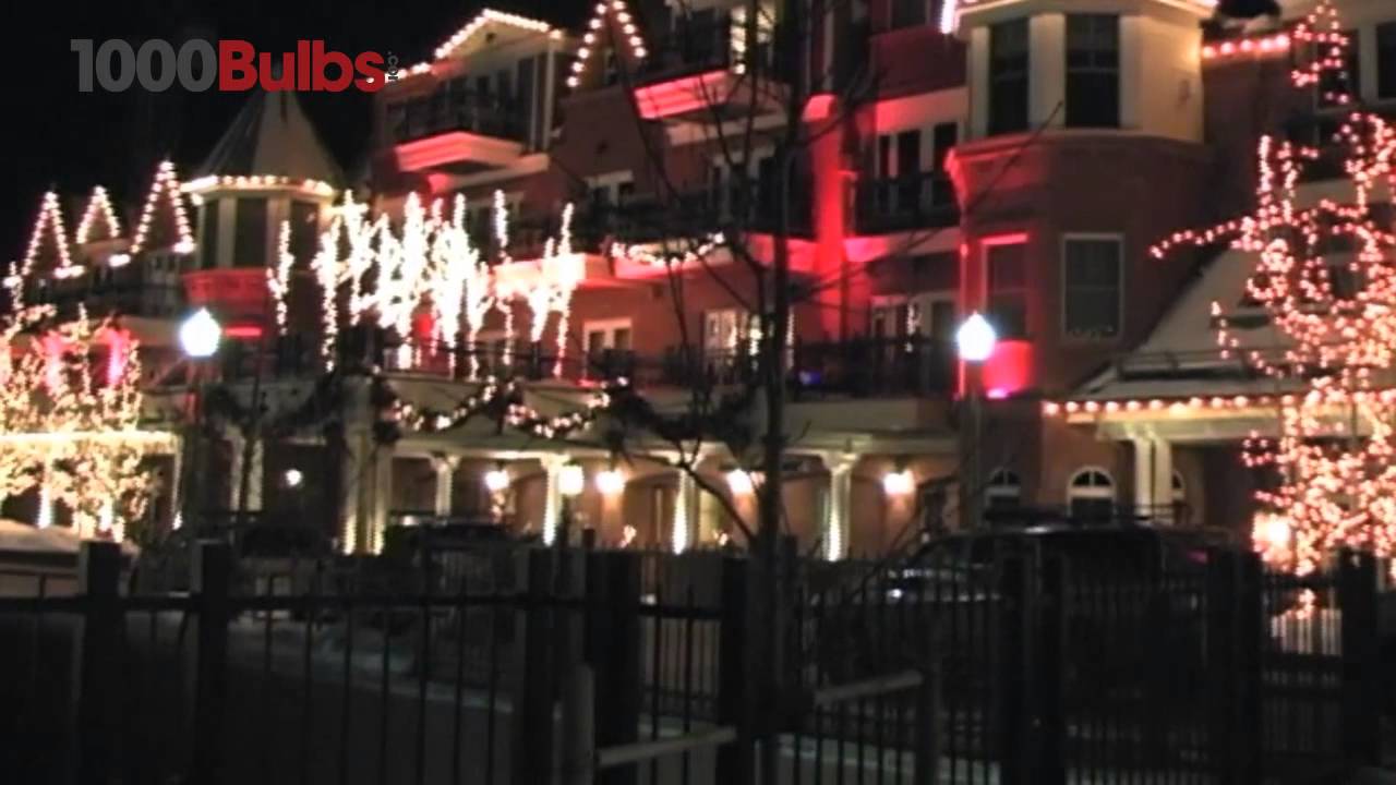 HLS C9100G 100-Foot C9 Christmas Light Stringer