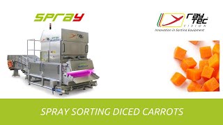 Famous Spray sorting machine for diced carrots | RAYTEC VISION SpA Profile