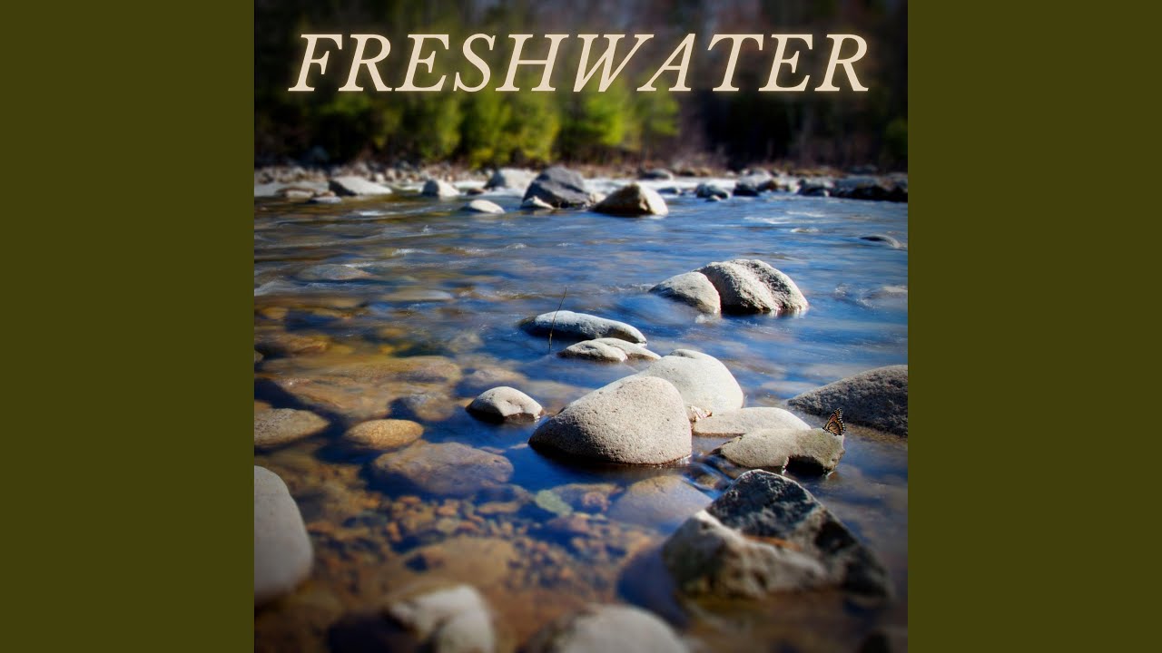 Freshwater YouTube