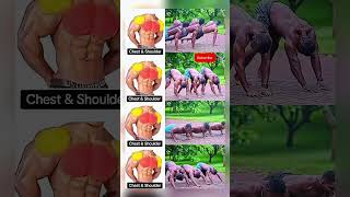 Chest Shoulder Biceps Workout #chestworkout #shoulderworkout #shortvideo