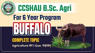 CCSHAU B.Sc. Agri 6 Year Most Important Topic Buffalo - Agronomy by Wadhwa Sir