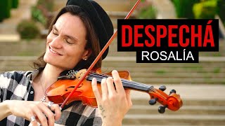 DESPECHÁ - Rosalía - Cover Violín, Violin Instrumental Cover by Caio Ferraz