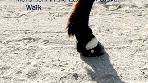 Movement in the Easyboot Glove: Walk