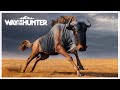 4 YILDIZLI AFRİKA ANTİLOBU PEŞİNDEYİM ! | WAY of THE HUNTER