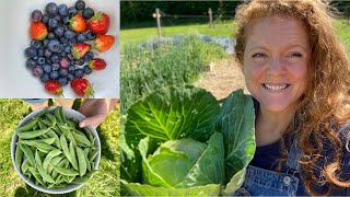 Garden HARVEST with a unique special blessing