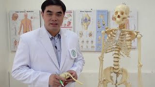 005 ปวดไหล่ แกว่งแขน หรือนวดช่วยได้จริงเหรอ