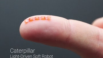 Light‐Driven Soft Robot Mimics Caterpillar Locomotion in Natural Scale