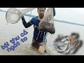 Một mình đạp hang bắt cá có gai độc nhất miền tây/Nhịp Sống Thanh Bình#91#miensongnuoc