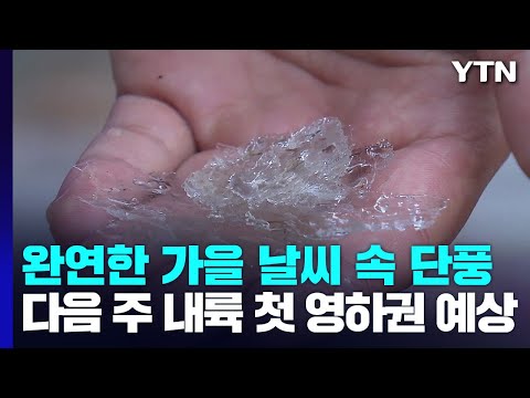 [날씨] 다음 주 기온 '뚝'..."영하권 초겨울 추위 온다" / YTN
