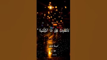 سورة إبراهيم _ الآية:12