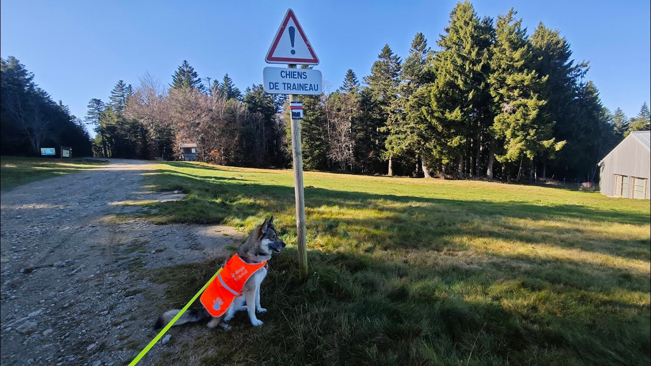 Endra - Balade au col de la Loge - 01-11-2024