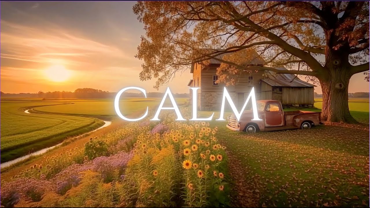 Calm and Relaxing Music | 1 Hour Quiet Time Background Music - YouTube