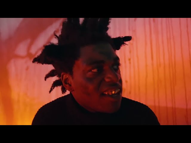 Kodak Black - Vulnerable (Free Cool) [Official Music Video]