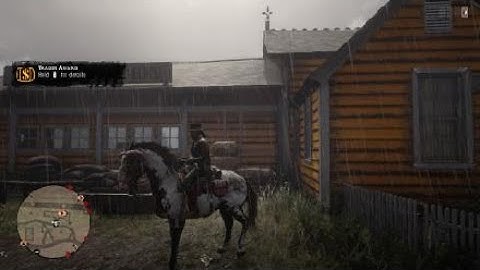 Solo Large, Long Distance , Full  Delivery Wagon