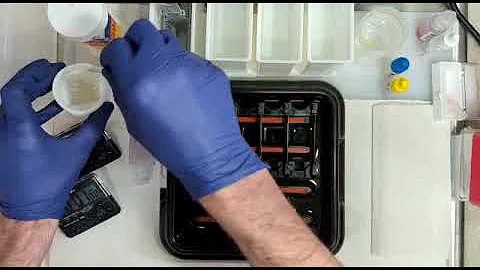 Mohs Surgery Immunohistochemistry: Step-by-Step Guide with Dane (1 of 4)