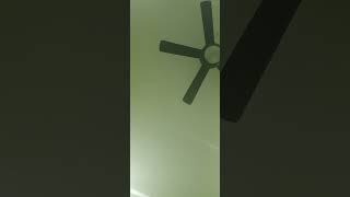 Ayer yo te vi