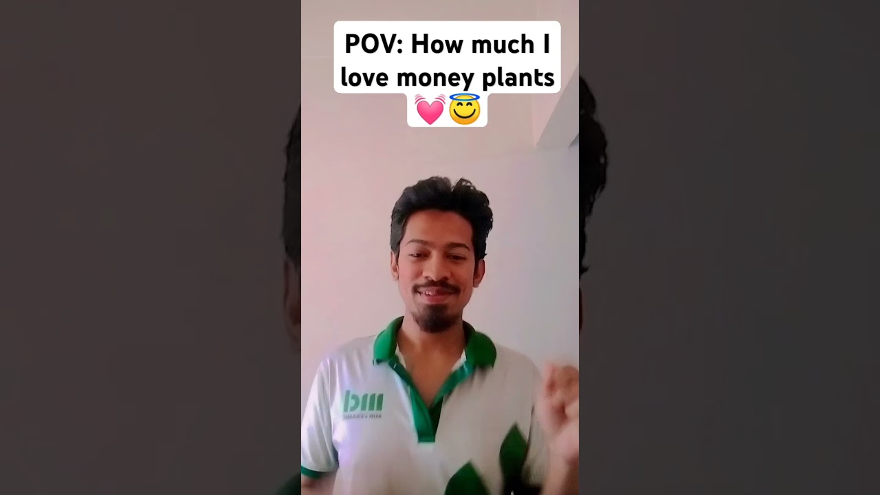 How much you love money plant🌱 