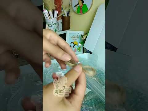 تغليف المنتجات بطريقة جميلة عمل بابيون الخيش