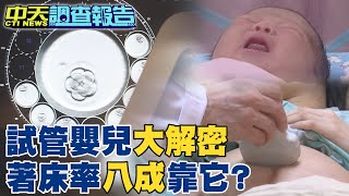 【#中天調查報告】試管嬰兒也有補助!AI著床率近八成 @CtiNews