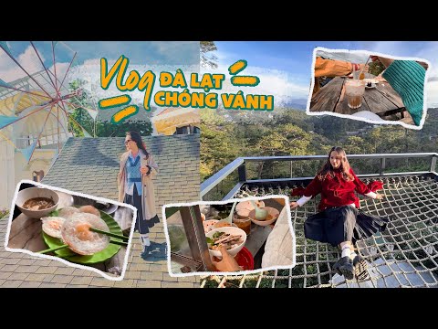 khách sạn an an đà lạt New Update Lại lên Đà Lạt lần thứ n | Châu Giang nè!