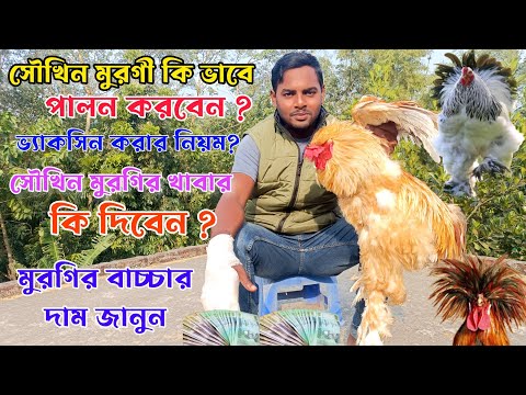 ভিডিও: মাসিক সুদের পেমেন্ট সহ আমানত: ব্যাঙ্ক, হার এবং শর্তাবলী