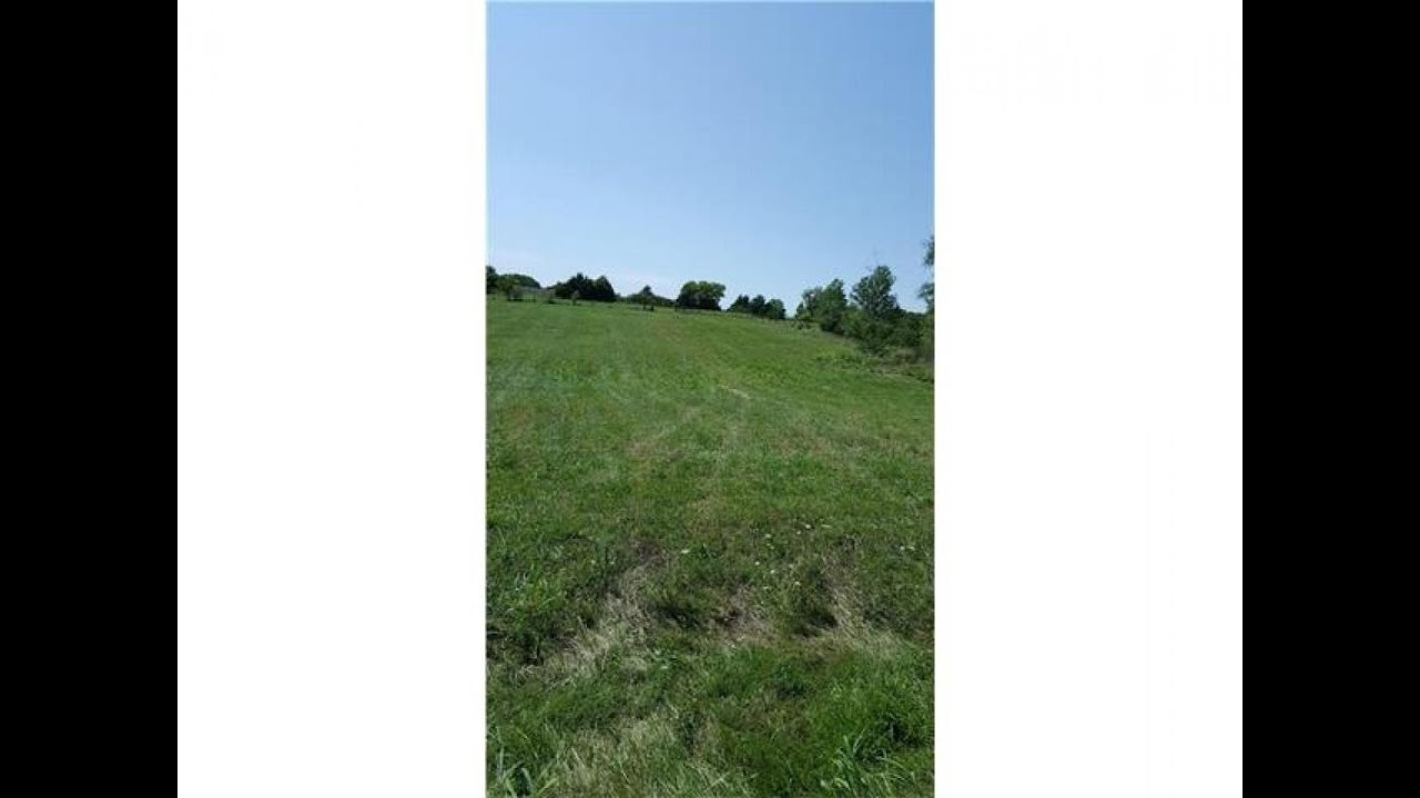 Homes for sale - Cheri Lane, Smithville, MO 64079