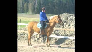 Sharlotta Without You Im Nothing