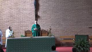 Fifteenth Sunday in Ordinary Time