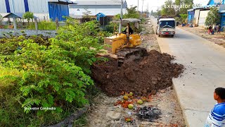 Full Process Completed 100% Landfill With D31P & D20P Dozer Pushing Soil & Busy Truck Unloading Soil