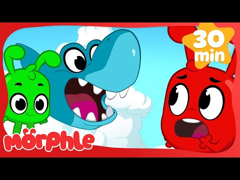 Shark in the Park! 🦈🏞️| Fun Animal Cartoons