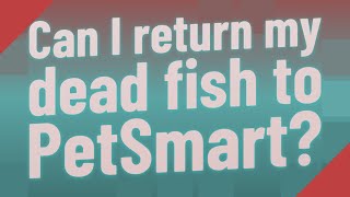 PetSmart Fish Return Policy 2022 (Dead, Sick, Unwanted Fish)