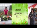 Урожаи в природном земледелии (наши урожаи 2017 (Семинар))