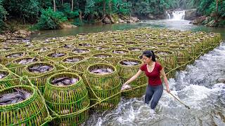 Amazing Fish Harvesting from the River | Catching Giant Fish and Bringing Them to Market