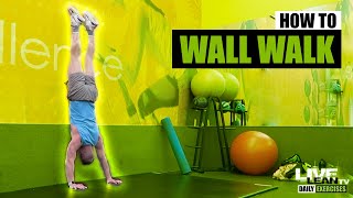 How To Do A WALL WALK | Exercise Demonstration Video and Guide